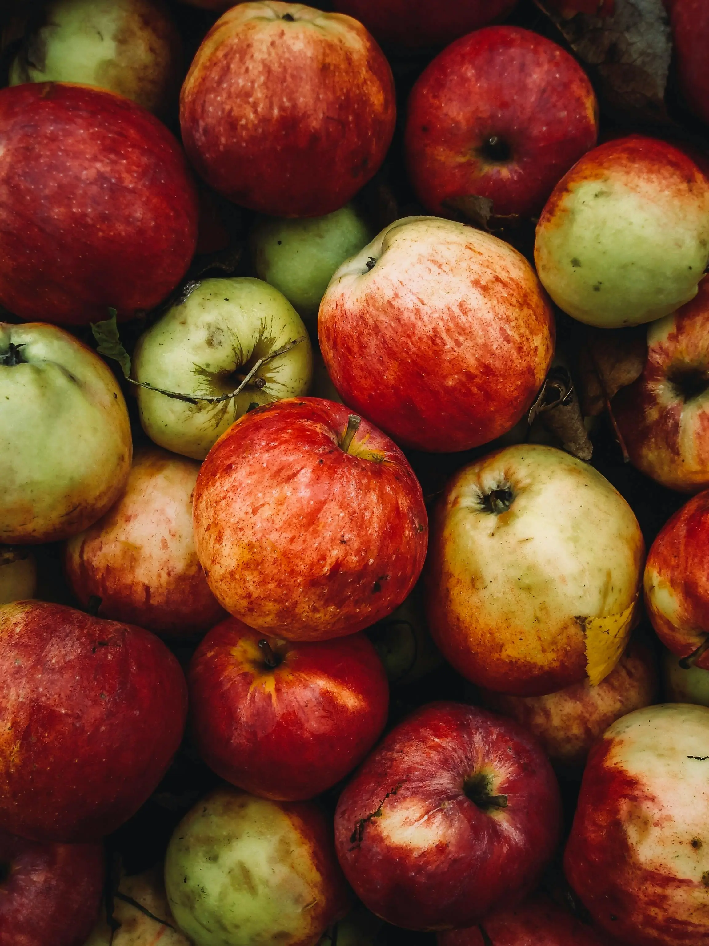 Äpfel